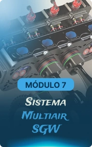 módulo 71x